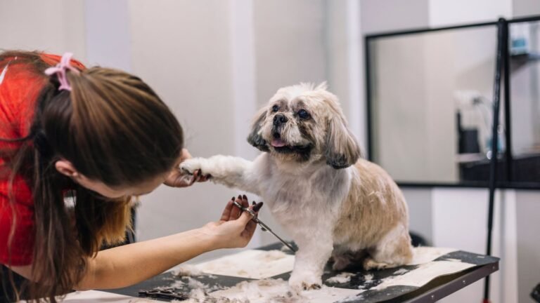 Groomer trims a small dog's nails on a grooming table.